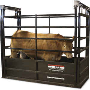 Rice Lake Rough Deck SLV Agricultural Scale
