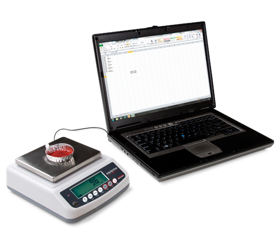 Equipoise Series Balance