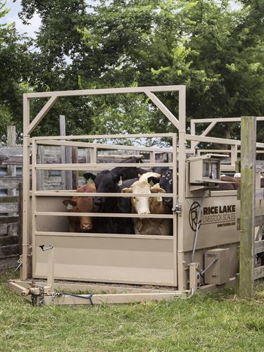 Mobile Group Livestock Scale MAS M