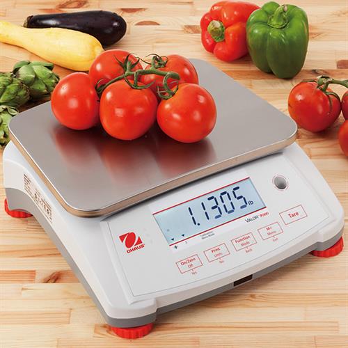 Ohaus Valor™ 7000 Balance