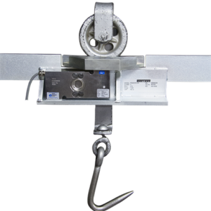 RICE LAKE MS200 & MS202 Portable & Permanent Monorail