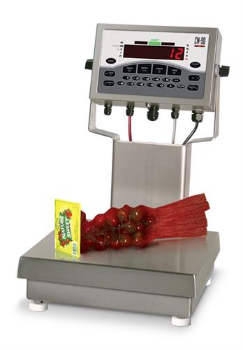 RICE LAKE CW-90 Over/Under Checkweigher