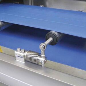 421 Light Capacity Belt Scale