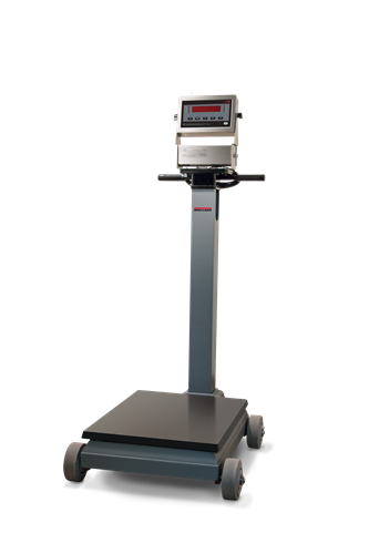 RICE LAKE RL1200 IS Intrinsically Safe Electromechanical Portable Beam Scale