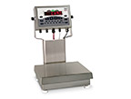 CW-90 Over/Under Checkweigher