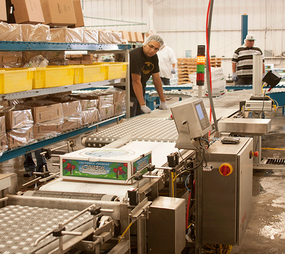 MotoWeigh® IMW In-Motion Checkweighers and Conveyor Scales Line View