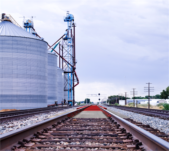 RICE LAKE SURVIVOR® PL Rail Scale