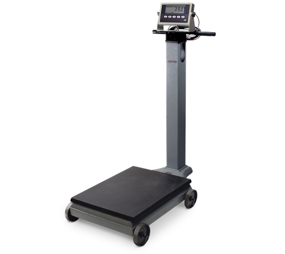 RICE LAKE RL1200 EM Electromechanical Portable Beam Scale