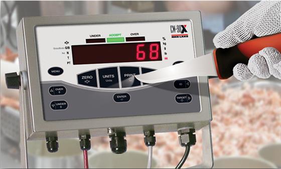CW-90X Weight Indicator