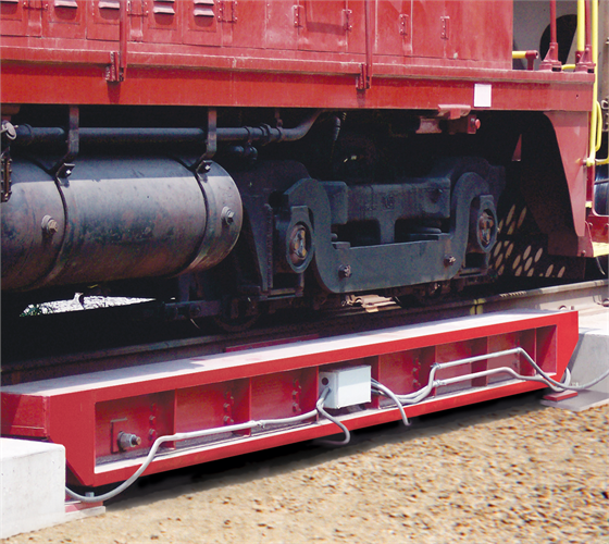 RICE LAKE SURVIVOR® PL Rail Scale