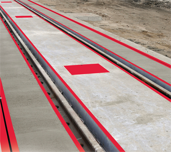 RICE LAKE SURVIVOR® RT Rail Scale