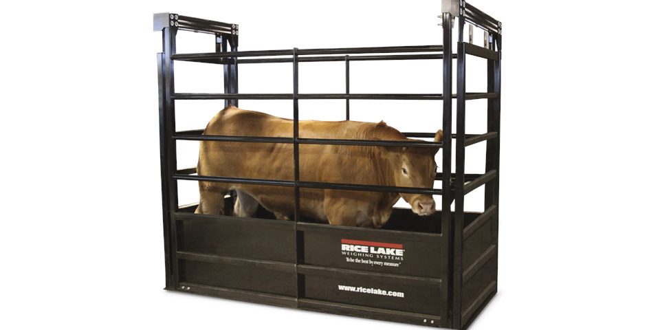 Livestock scale