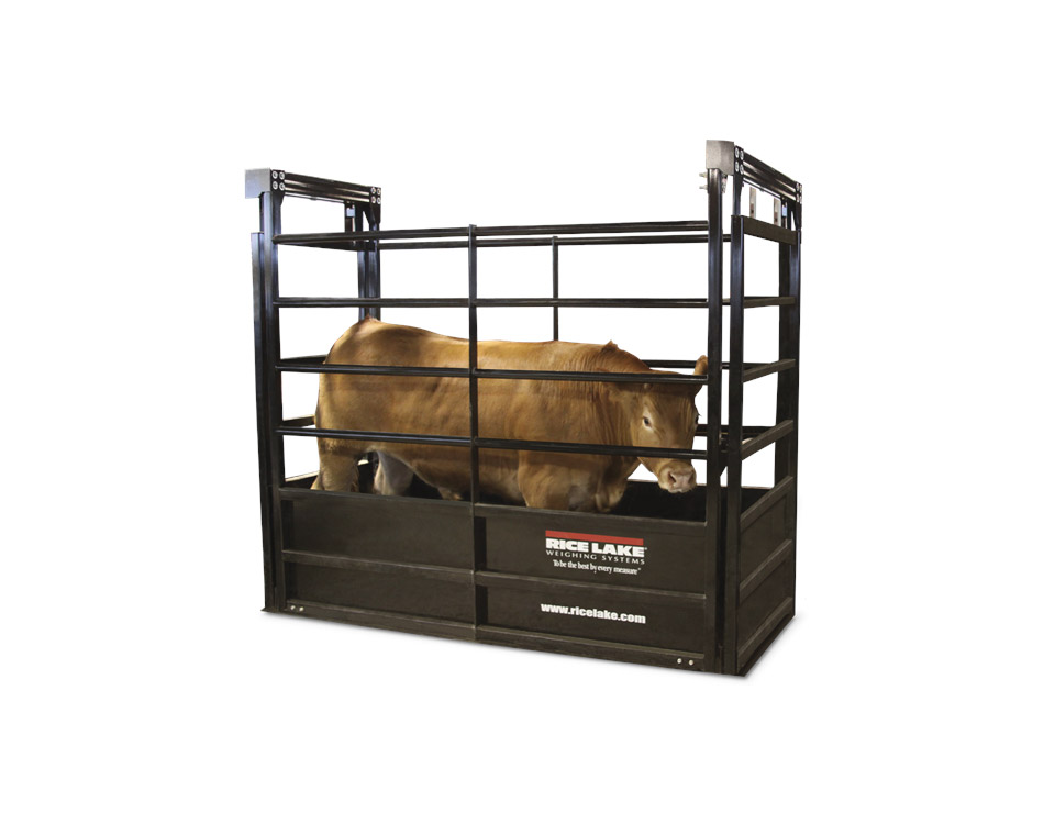 Livestock scale